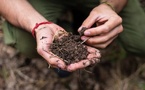 Cisco’s Climate Resilience and Sustainability Strategy