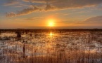 Dylan Efron Explores the Everglades with T-Mobile