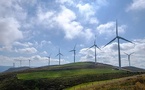Ray C. Anderson Foundation: Sustainability &amp; Climate Initiatives