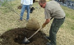 MetLife Foundation: Global Giving, Sustainability &amp; Community Impact