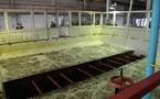 Commercial Water Filtration: Media, Projects &amp; Growth