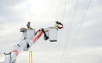 Entergy Uses Bird Diverters to Protect Louisiana’s Whooping Cranes