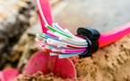 AI-Powered Fiber Sensing for Smarter Network Resilience