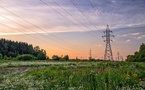 Southwire Creates Native Habitat Along Utility Corridors