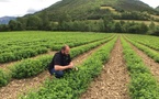 TEROVA Advances Sustainable and Transparent Spice Sourcing