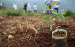 Mary Kay's 60th Anniversary Reforestation Initiative with Arbor Day Foundation